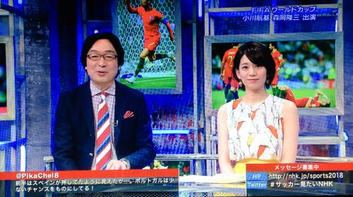 NHKワールドカップアナウンサーの熱狂的な解説